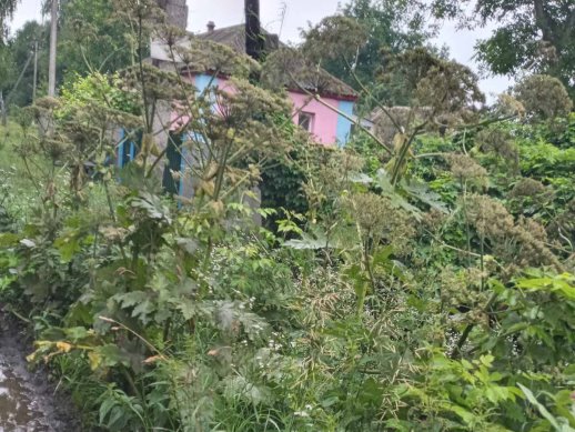 зображення_viber_2023-11-16_22-02-41-610